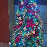 スーツァン・レストラン陳 渋谷店 - スーツァン・レストラン陳渋谷店の前のクリスマス・ツリーです。