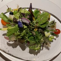 レフェルヴェソンス - 