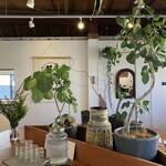 Ou - 観葉植物いっぱいの店内