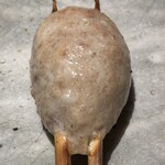 炭焼 おかげさん - 高坂鶏のレア塩つくね