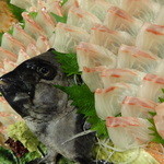 鍵屋 - 石鯛の姿造り