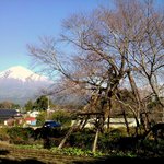 焼きたてパンの店 クックドゥル - ご近所の桜の銘木「駒止めの桜」と初冬の富士