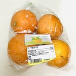 太陽市 - 愛果28号