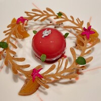 ジョンティ アッシュ - 