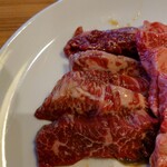 Yakiniku Gaden Kokoro - 提供時にはタレに少し漬けてあるが塩のみで食べてみたら
                      多少ハラミには脂の味わいに軽く時間経過はある味わい
                      
                      肉単体で深く味わってみないと普通は判らないレベル
                      多分カルビ程回転が良くない為かと思われる