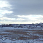 いよいよ冬です