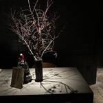 GapricE - 卓上の猫シャンが可愛かった♡