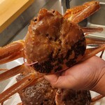 日本料理 酔雅 - 