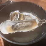 サンビーノ トト - 