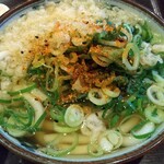 Konpira Udon - 