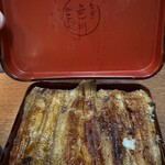 Unagi Irokawa - 