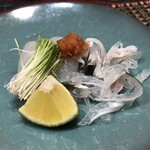 日本料理 四幸 - 【造里1】てっさ、湯引き。芽ねぎと紅葉おろし