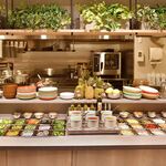 Healthcare Meal - 
