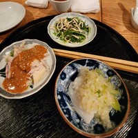 雪梅花 菜根譚 - 