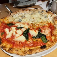 THE RIGOLETTO - 