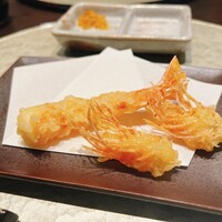 天冨良 よこ田 - 