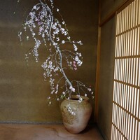 緒方 - 