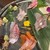 地酒と肴のお店 わだち - 料理写真:刺身五種盛