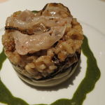 フォリオリーナ・デッラ・ポルタ・フォルトゥーナ - 野生の猪のラグーとケイパーの花の蕾のリゾット、黒胡椒風味の黒キャベツと黒米のソース1