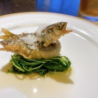 洋食 つばき - 