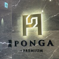 PONGA PREMIUM - 