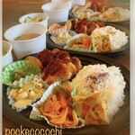 Pocke cocochi - 