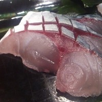 月の木 - 関さば