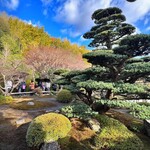 華厳寺 - 庭園