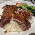 ヤミーダック - ご飯一種肉盛