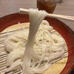 最上 楽農園 稲庭うどん 山菜 - うどん