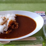 カフェ ラクーン - マウンテン「ビギナーズ」カレー