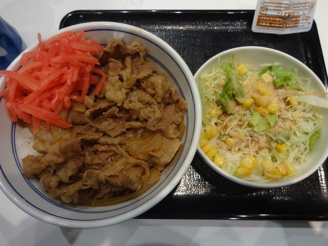 牛丼女子 小食男子向けの コモサラセット By 無芸小食 吉野家