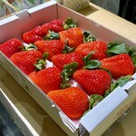 懐食庵 なかたけ - 