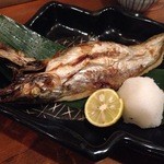 白雪 - カマスの塩焼き