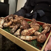 Shangri-La's secret ROPPONGI - 