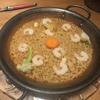 Potoro - 