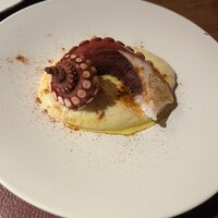 Potoro - 
