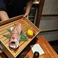 のどぐろ専門 銀座中俣 はなれ - 