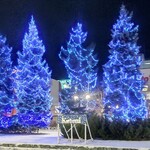 ヴィ･ド･フランス - 駅のロータリーのイルミ❤奥は《イトーヨーカドー》❣（別の日に撮影）