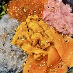 鎌倉海鮮や - 5色丼