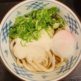 瀬戸うどん - 