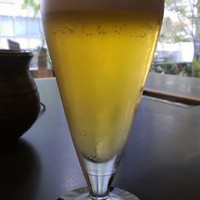 しゃぶしゃぶ・日本料理 木曽路 大宮店 - 一口生ビール(420円）