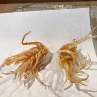 天ぷら浅沼 - 