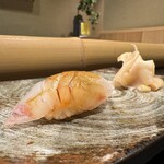 博多 鮨 よこ田 - 