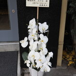 麺庵 利休 - 開店祝いの胡蝶蘭（右）