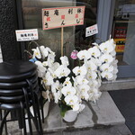 麺庵 利休 - 開店祝いの胡蝶蘭（左）