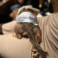 おだし 恵比寿店 - 