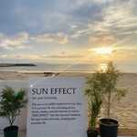 SUN EFFECT - 
