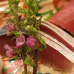 車力門 ちゃわんぶ - 25年11月　お造り　舞鶴鯖