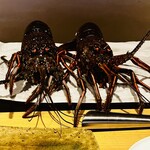 温石 - 伊勢海老とご対面　この後変わり果てたお姿に！